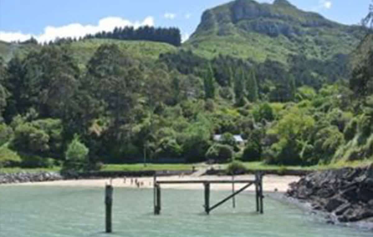 Escape Rentals The Best Beach Spots in around Christchurch Corsair Bay Escape Rentals The Best Beach Spots in around Christchurch Corsair Bay