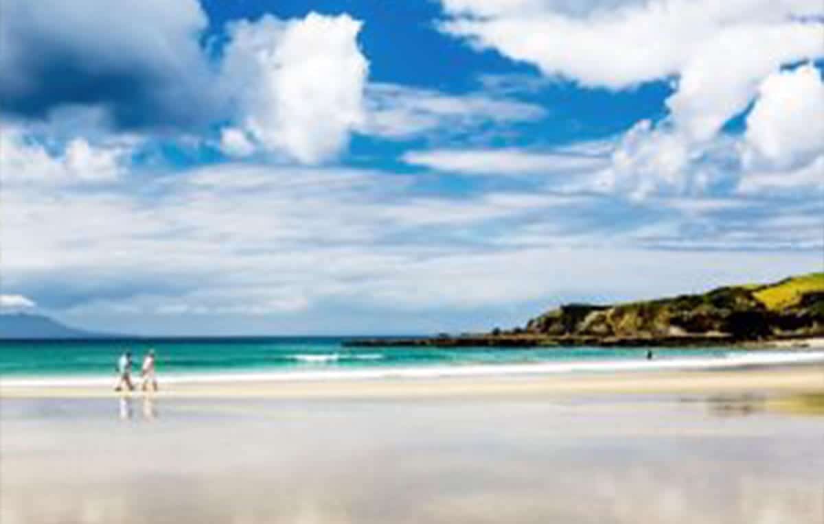 Escape Rentals The Top 10 Things to do Just North of Auckland Day trip at Tawharanui Peninsula