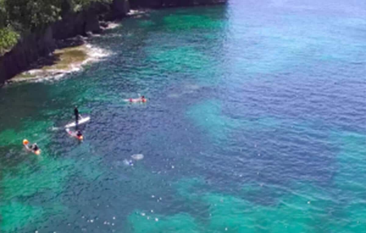 Escape Rentals The Top 10 Things to do Just North of Auckland Get out on the water at Goat Island