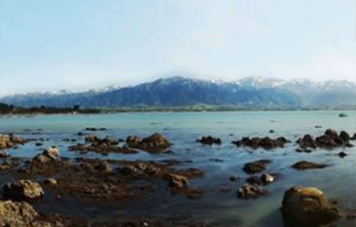 Escape Rentals The Top 5 Day Trips from Christchurch Kaikoura Escape Rentals The Top 5 Day Trips from Christchurch Kaikoura
