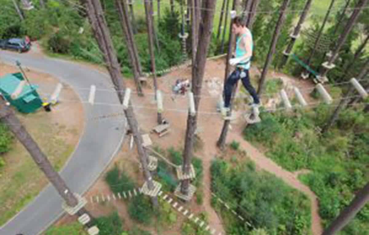Escape Rentals Top 4 Christchurch Activities Adrenalin Forest Escape Rentals Top 4 Christchurch Activities Adrenalin Forest