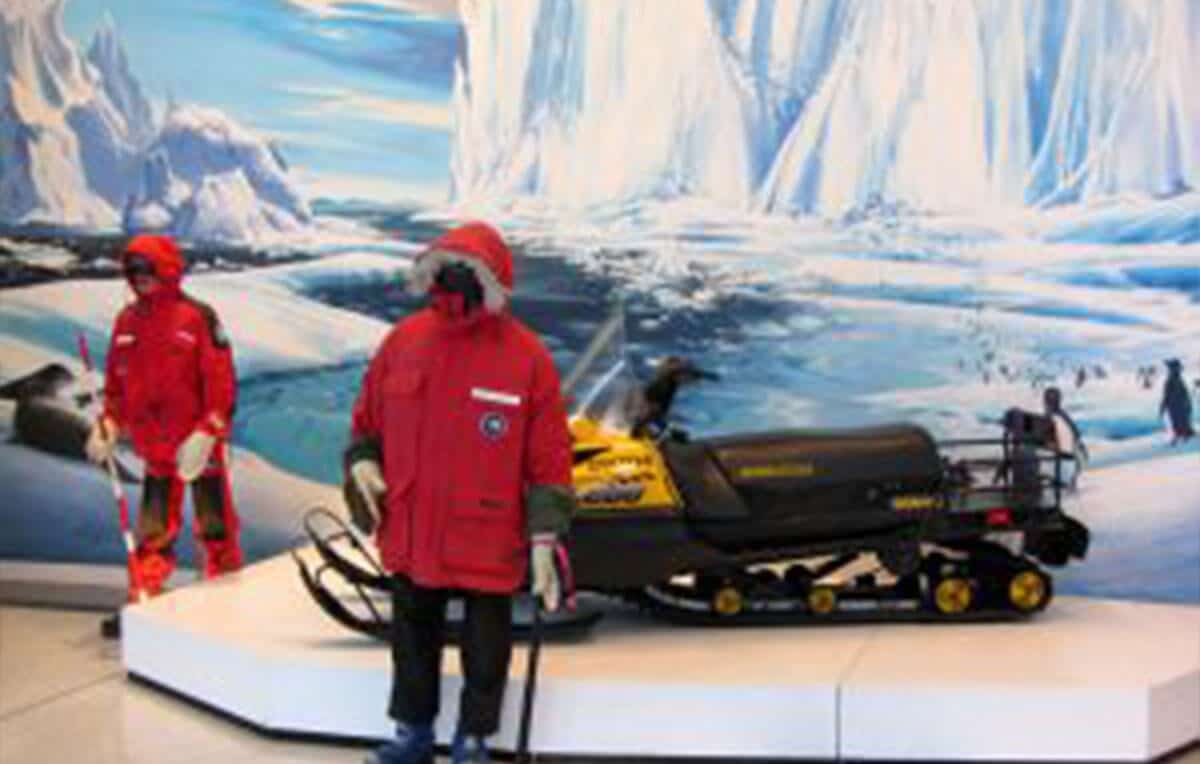 Escape Rentals Top 4 Christchurch Activities International Antarctic Centre Escape Rentals Top 4 Christchurch Activities International Antarctic Centre