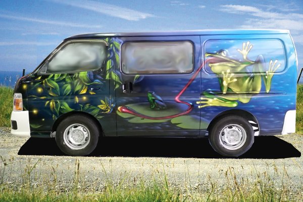 Freaky Frogs Self Contained Campervan