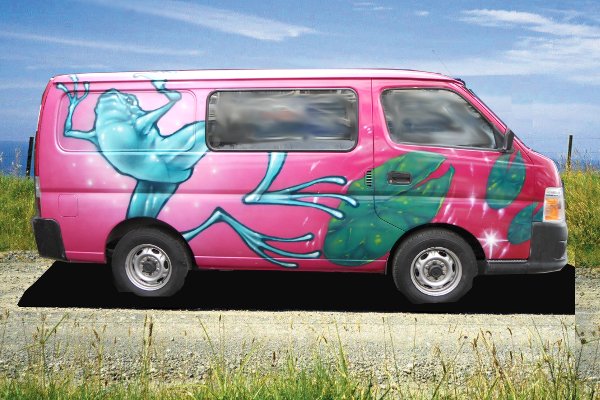Frogs Self Contained Campervan