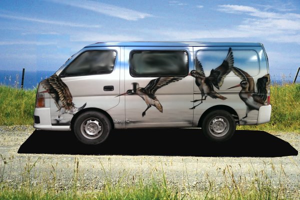 Godwit Self Contained Campervan