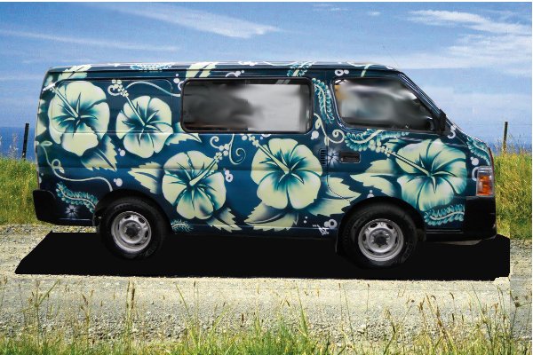 Green Hibiscus Self Contained Campervan