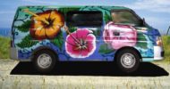 Happy Hibiscus Self Contained Campervan