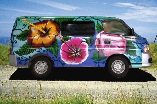 Happy Hibiscus Self Contained Campervan