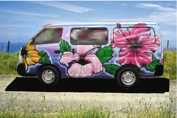 Hibiscus 2 Campervan
