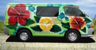 Hibiscus Summer self contained campervan