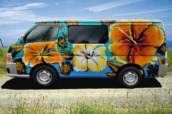 Hibiscus Summer self contained campervan 2