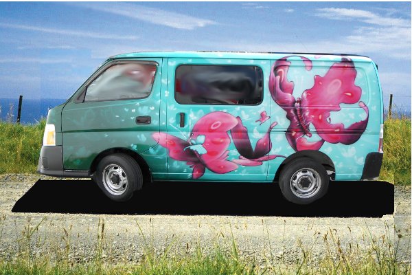 Pink Butterfly Self Contained Campervan