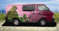 Pink Woodpigeon Campervan