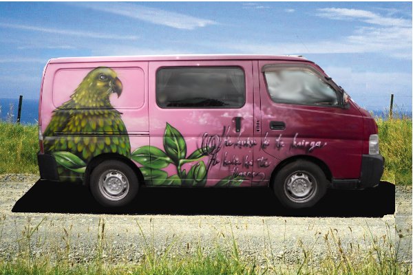 Pink Woodpigeon Campervan