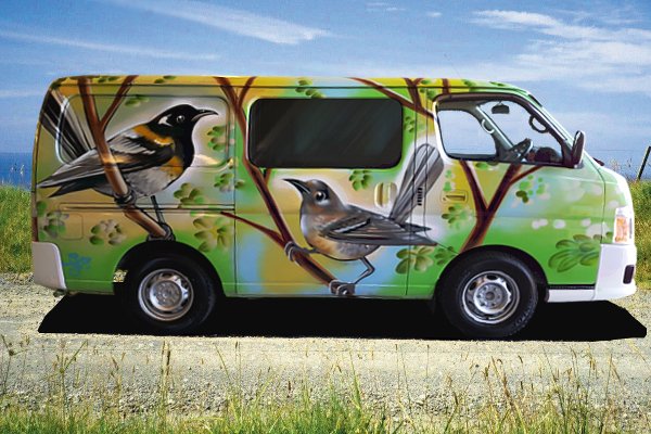 Saddleback self contained campervan