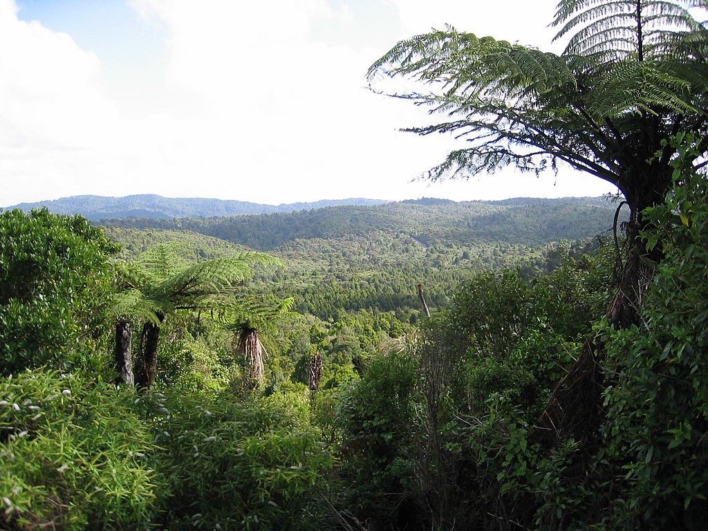 Camping Waitakere Ranges Best Auckland Regional Parks Camping Sites | Escape Rentals