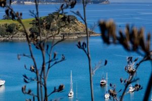 cb visit discover top10 auckland 4 waiheke small