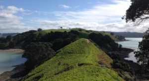 shakespear te haruhi bay auckland