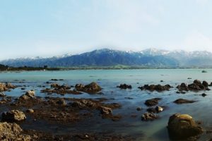 kaikoura ocean to alps