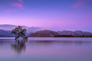 lake wanaka