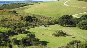 shakespear te haruhi bay auckland