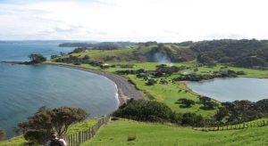 shakespear te haruhi bay auckland